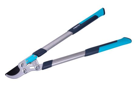 N��ky na v�tve FESTA Garden p�evodov� SK5 720mm