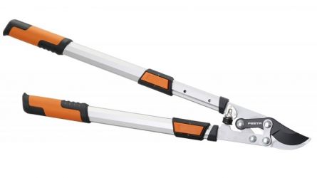 N��ky FESTA na v�tve p�evodov� teleskop. 66-90cm