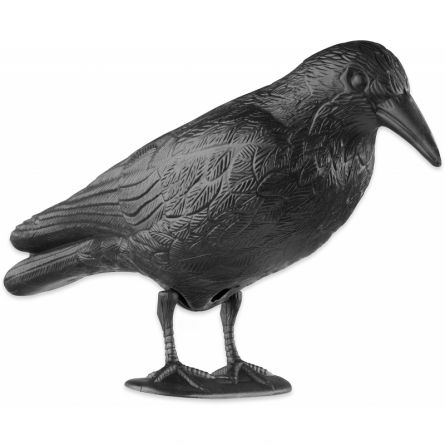 Havran maketa na pla�en� pt�k�-plast