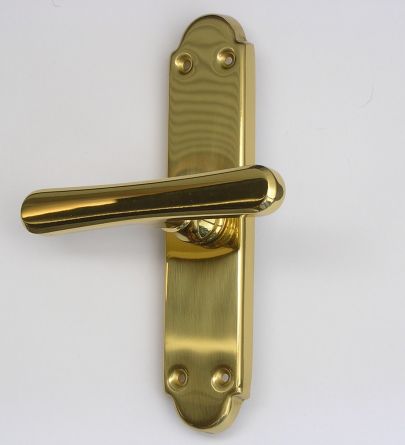 IB-Individual rozvora MS lesk