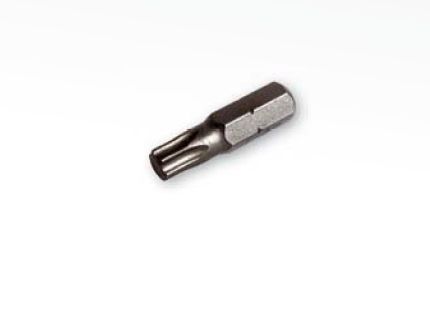 RAPI-TEC n�stavec �roub bit T30/25 1/4"