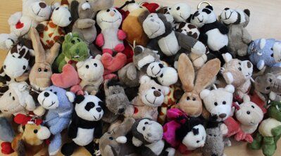 P��v.ply� pejsek, mal� medv�dek...