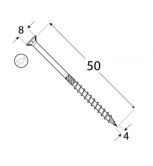 DO vrut tes.zap.hlava 4x50 �200