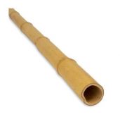 V�ce informac� o v�robku Podp�ra bambusov� pr.10/12mm, d�lka 105cm