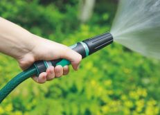 AQUATIC rozst�ikova� FESTA