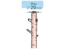 N��ky zahradnick� na v�tve,190mm,SK5