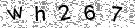Opi�te k�d z obr�zku