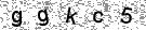 Opi�te k�d z obr�zku