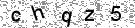 Opi�te k�d z obr�zku