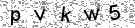 Opi�te k�d z obr�zku