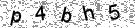 Opi�te k�d z obr�zku